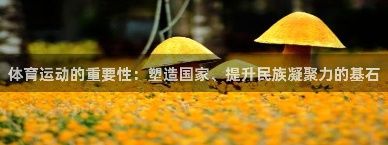 vsport体育在线官网