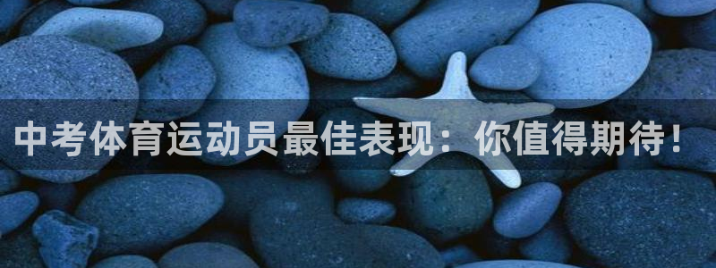 vsport体育在线官网