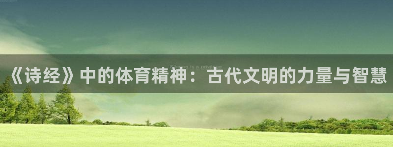 vsport体育在线官网