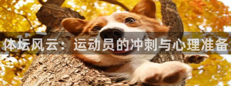 vsport体育在线官网