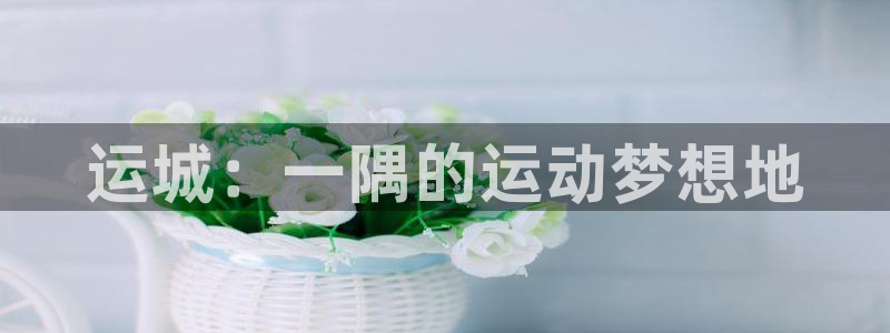 vsport体育在线官网