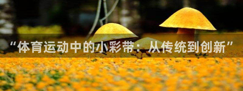 vsport体育在线官网