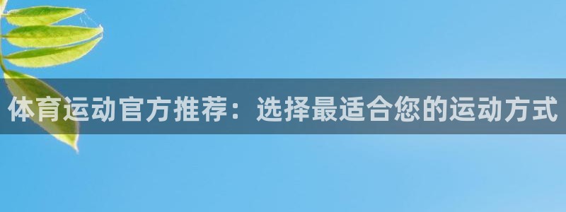 vsport体育