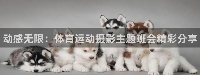 vsport体育在线官网