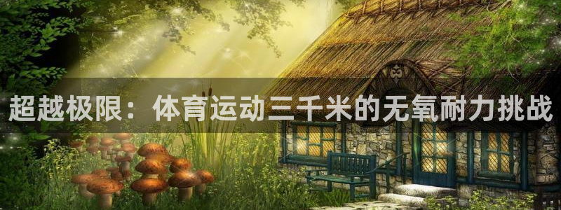 vsport体育在线官网