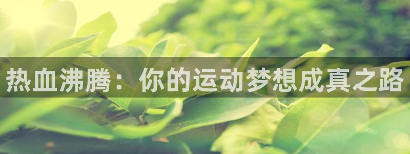 vsport体育在线官网