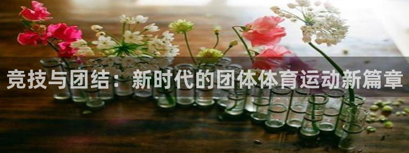 vsport体育在线官网