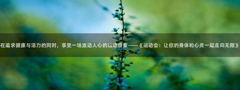 vsport体育在线官网