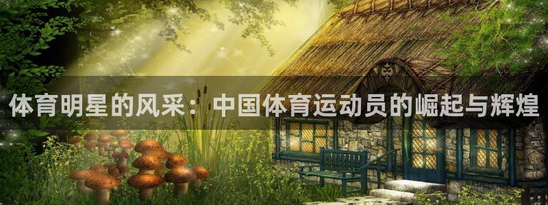 vsport体育在线官网