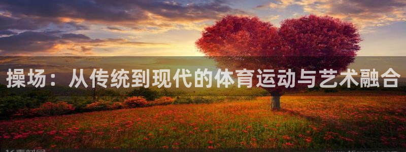 vsport体育在线官网